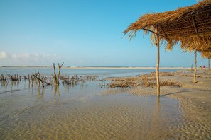 Une plage avec une eau claire et peu profonde, une structure recouverte de chaume et une côte lointaine.