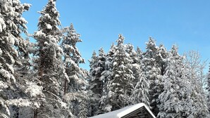 A log cabin with a porch, surrounded by snow-covered trees. - Serene 1-bedroom lakeside cabin at the arctic circle  perfect for a cozy getaway (Jokkmokk)