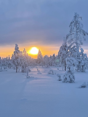 Et snøklædt landskab med en sti, der fører gennem træer i solnedgang.