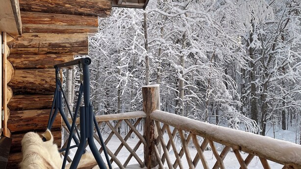 A wooden cabin with a covered porch, a fur chair, and a view of snow-covered trees. - Serene 1-bedroom lakeside cabin at the arctic circle  perfect for a cozy getaway (Jokkmokk)