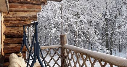 Serene 1-bedroom lakeside cabin at the arctic circle perfect for a cozy getaway