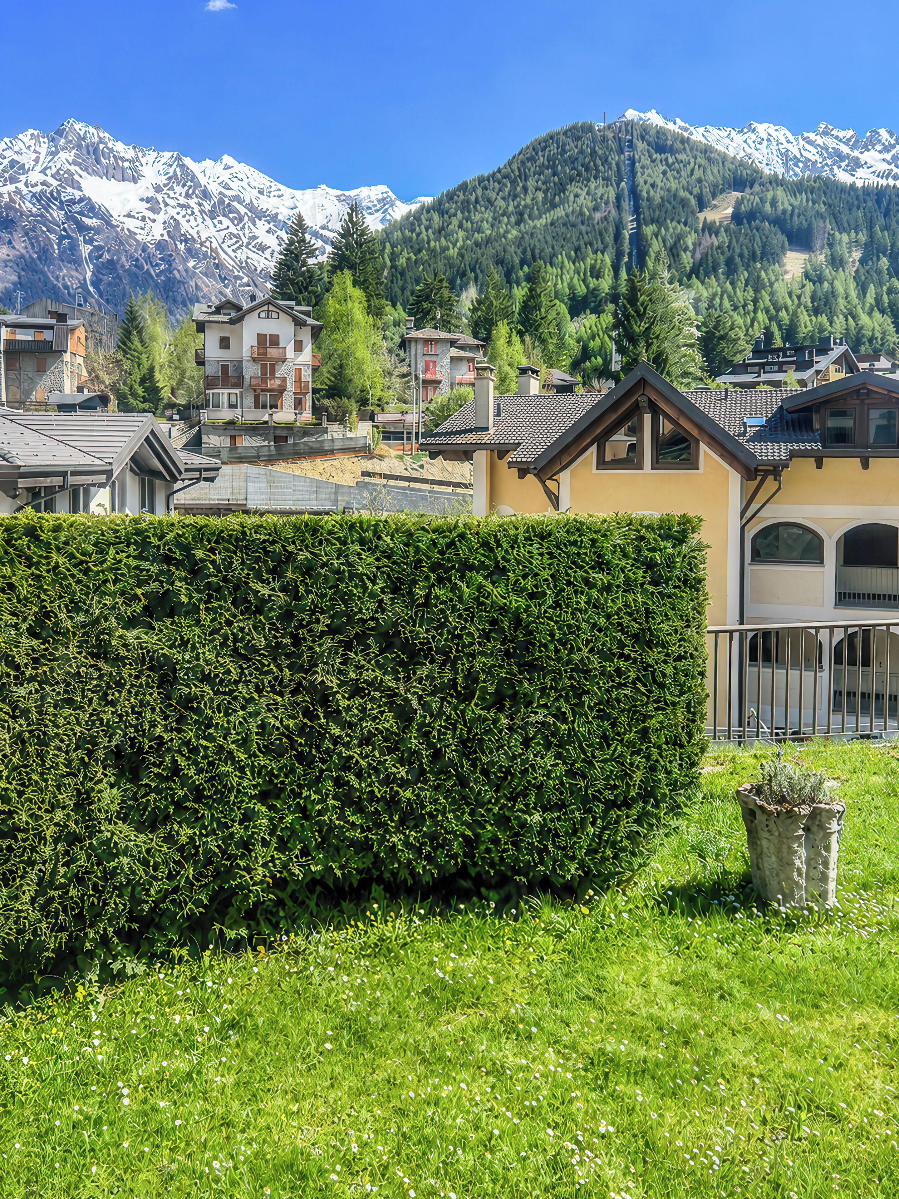 A residential area with houses, a hedge, and snow-capped mountains in the background.