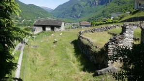 Een landelijk landschap met een stenen ruïne, een stenen huis en grazende schapen.