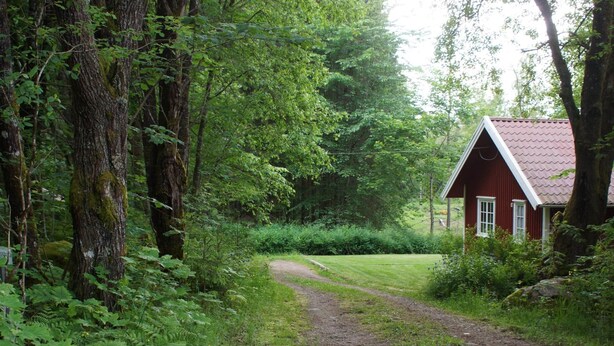 Un sentier rural qui mène à une maison rouge, entourée d’une forêt dense.
