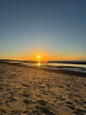 Beach - Brewster Sea of  Life Coastal Family Retreat with private yard/Pet friendly (Brewster)