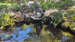 A serene garden with a pond, a stone statue, and lush greenery. - Warrina Nook A Cosy Bushland Escape for Two (Chatswood West)