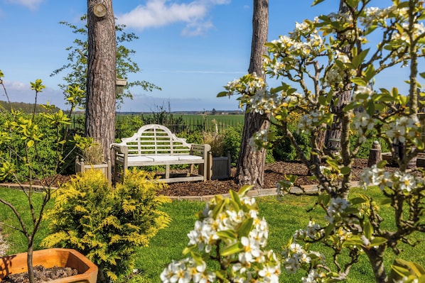 Un jardin avec un banc, des arbres et une clôture.