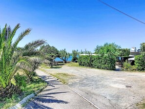 Eine gepflasterte Straße mit Palmen und Sträuchern, eine Bank und ein Blick auf ein Gewässer in der Ferne.