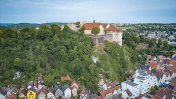 Eine Burg auf einem Hügel, umgeben von Wohngebäuden.