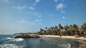 Ein Strand mit Palmen und einem Felsen im Wasser.