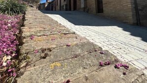 A street with a building featuring a brick facade, a paved walkway, and some flowers. - Sibilroom - Rooms & Wellness (Amandola)