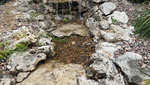 Ein Felsengarten mit einem kleinen Wasserfall, umgeben von verschiedenen Pflanzen und Steinen.