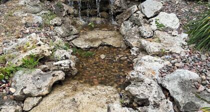 Secluded Hideaway with private pool 3-bedroom house in tranquil Tulsa