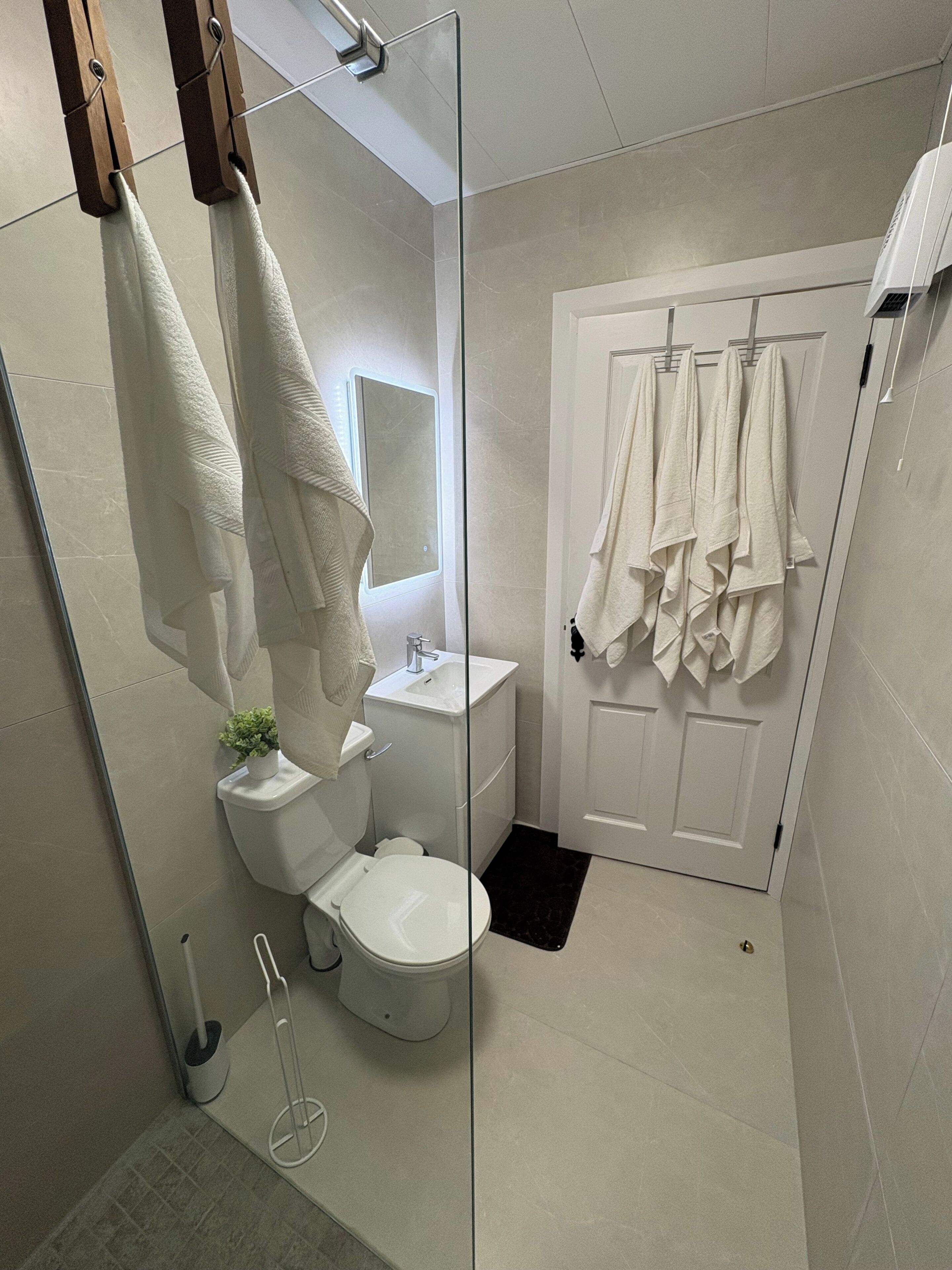Shower, hair dryer, towels