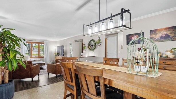 Un coin repas avec une table en bois, des chaises, un luminaire suspendu et une plante en pot.