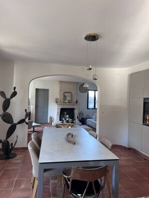 Ein Essbereich mit Tisch, Stühlen, einem Kamin und einer Kakteendekoration.