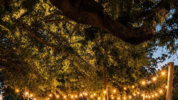 A circular seating area with chairs and a fire pit, surrounded by string lights and trees.