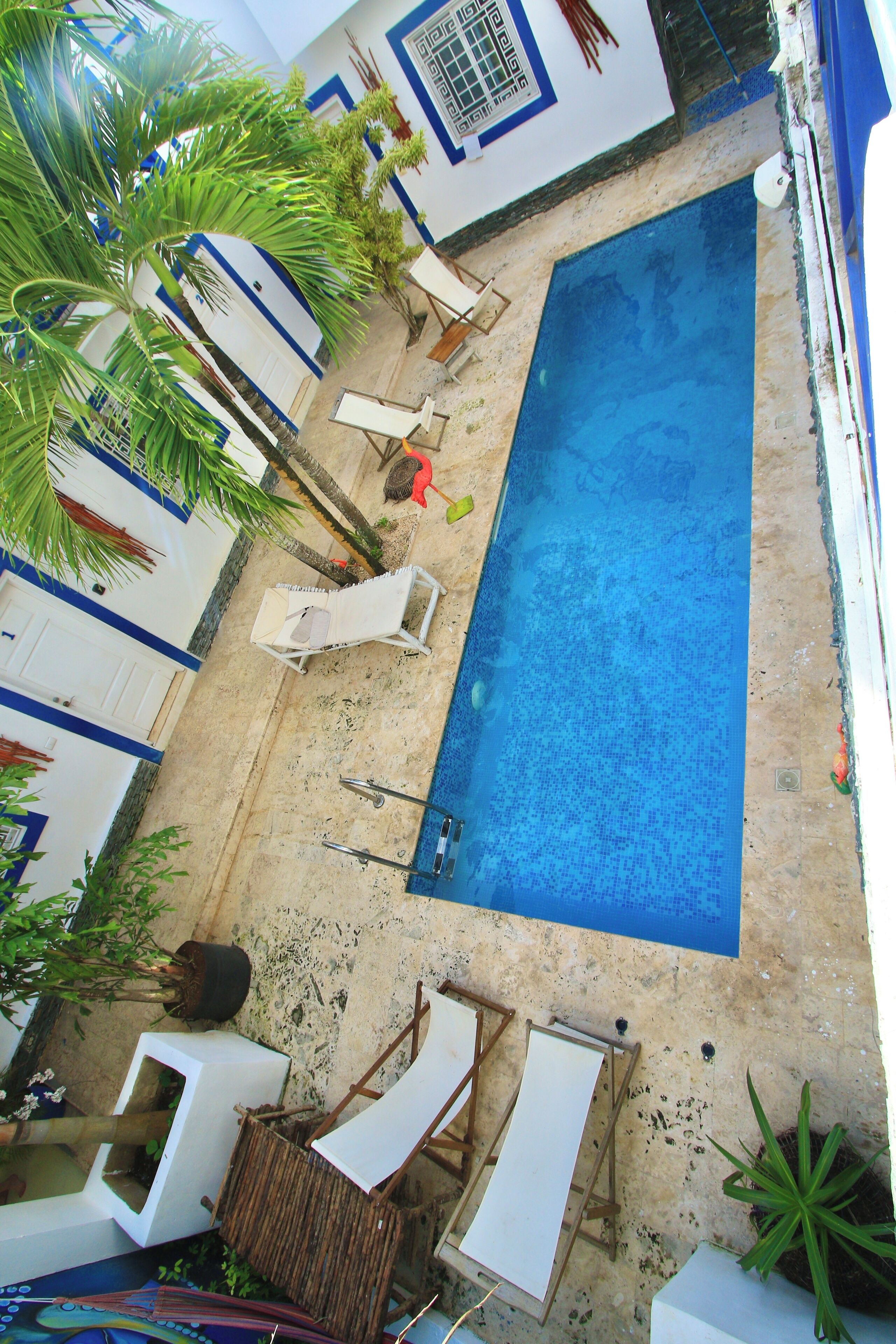 A swimming pool with lounge chairs and a small table, surrounded by potted plants and a white building with blue trim.