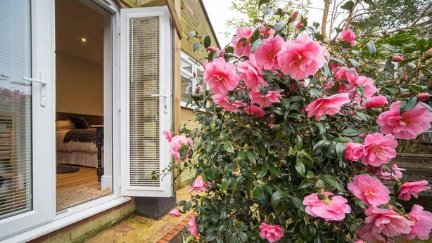 A house with a door open, revealing a room with a bed and a window. - Scaw Fell Boutique Studio Annex (Cowes)