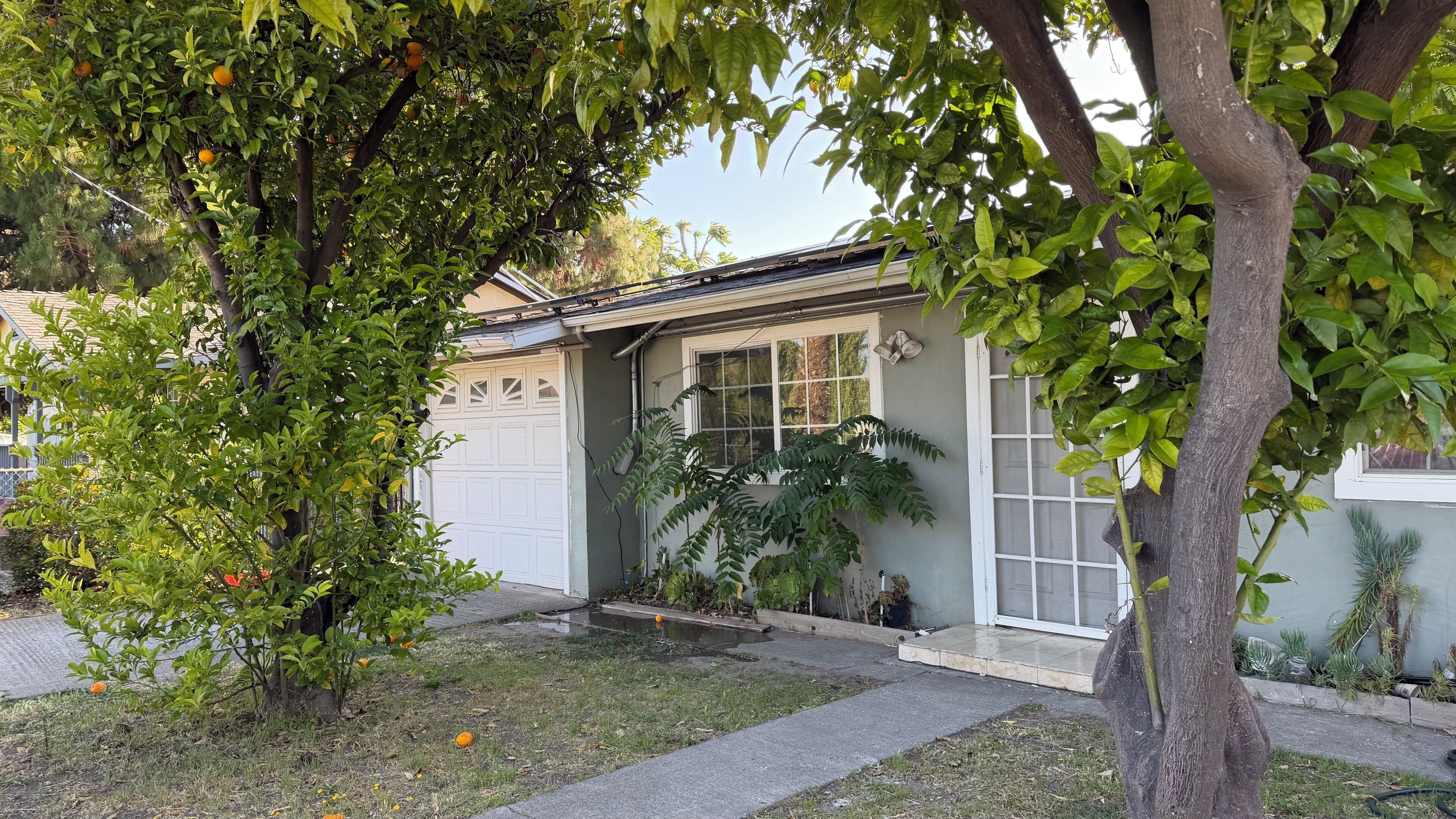 Een woonhuis met garage, gazon en diverse planten.