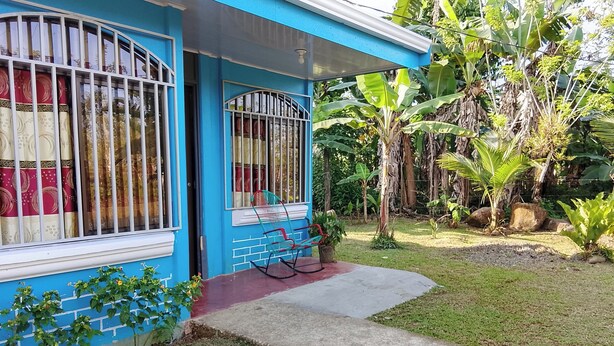 Una casa azul con rejas en las ventanas, un sendero de concreto y un jardín con palmeras y plantas en macetas.