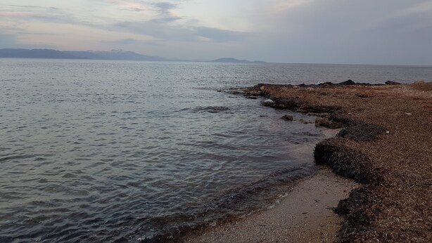 Ein Strand mit ruhigem Wasser, felsigem Ufer und Bergen in der Ferne.