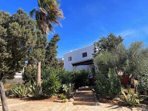 A white building with a staircase leading to a door, surrounded by various plants and trees.
