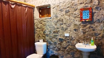 Shower, towels, toilet paper