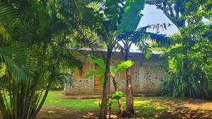 Um edifício de pedra com telhado de palha, rodeado por vegetação exuberante e um caminho de terra.