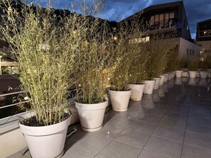 Eine Dachterrasse mit in einer Reihe angeordneten Topfpflanzen, ein modernes Gebäude im Hintergrund und ein klarer Himmel.