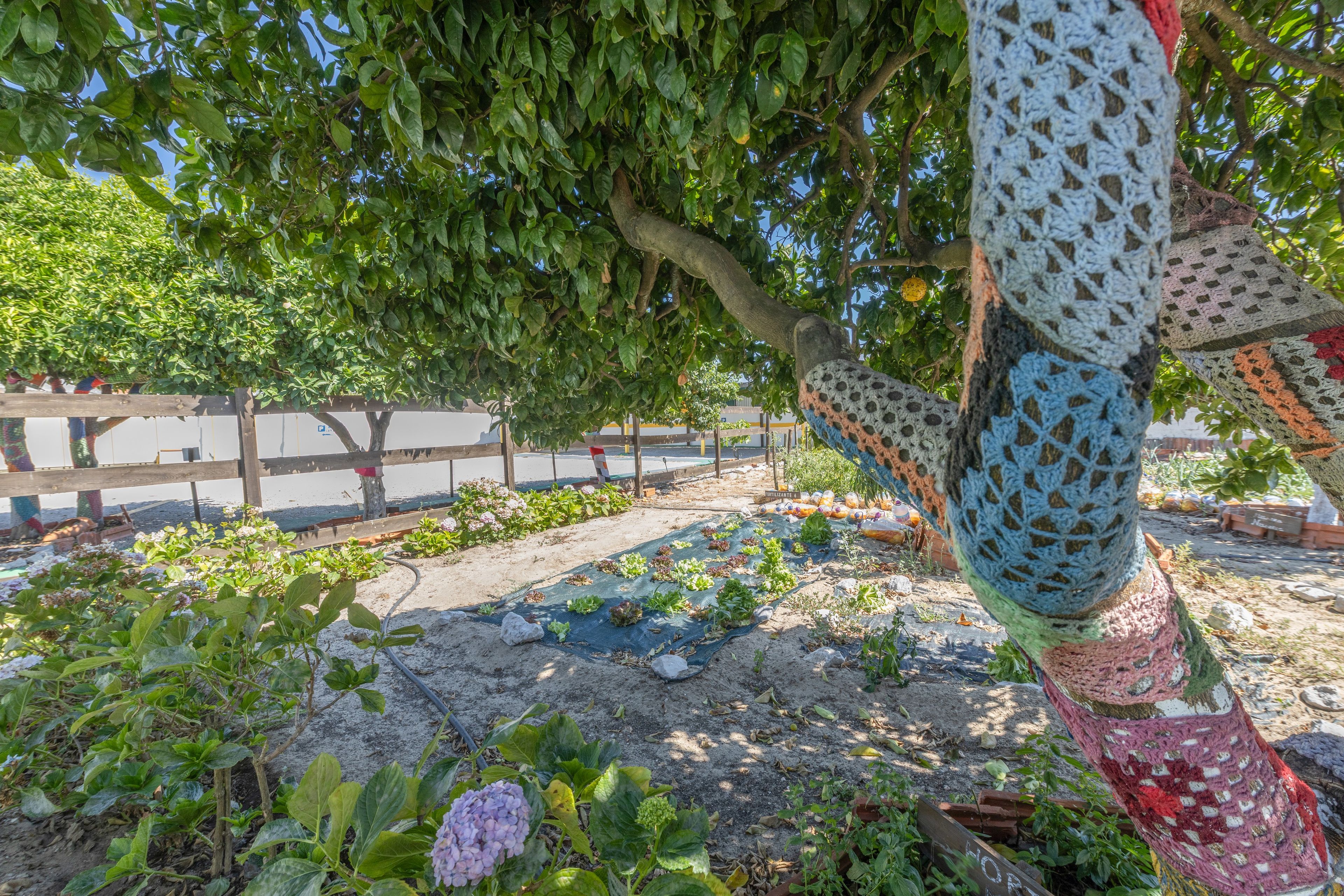 Um jardim com diversas plantas e uma árvore.