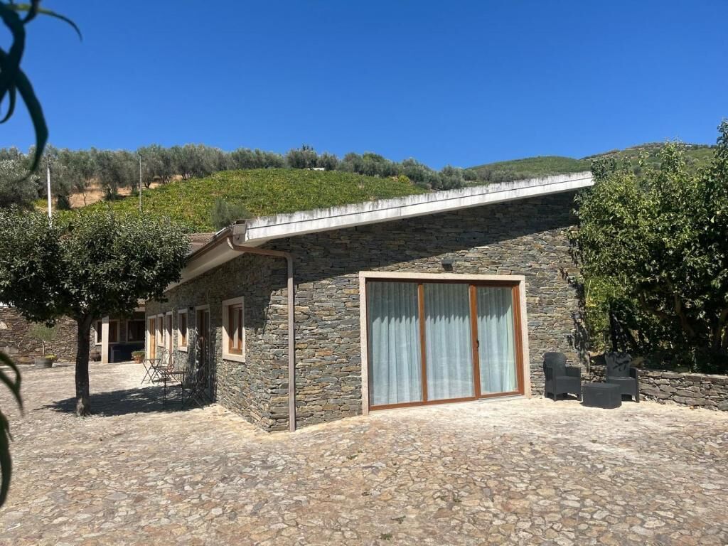 Estudio Deluxe, patio, vistas al jardín | Exterior