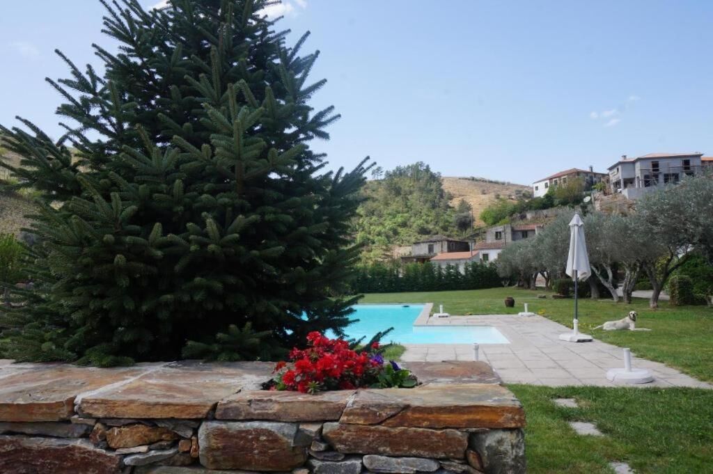 Un muro de piedra, una piscina, un gran árbol perenne y un perro en un jardín.