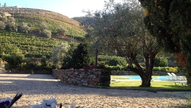 A vineyard with stone walls, a pool, and lounge chairs.