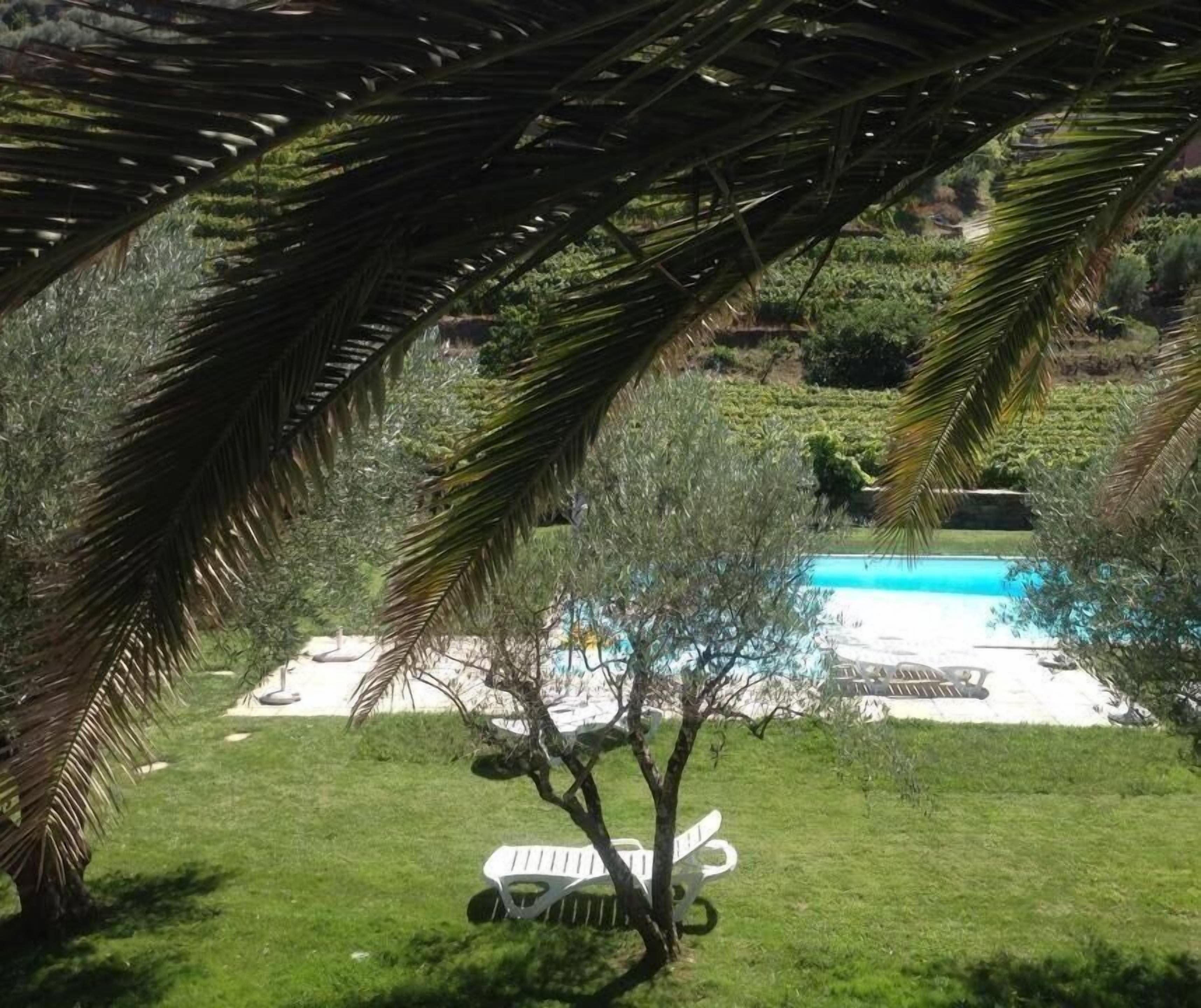 Una piscina con agua azul cristalina, rodeada de césped, una silla de descanso blanca y un árbol pequeño.