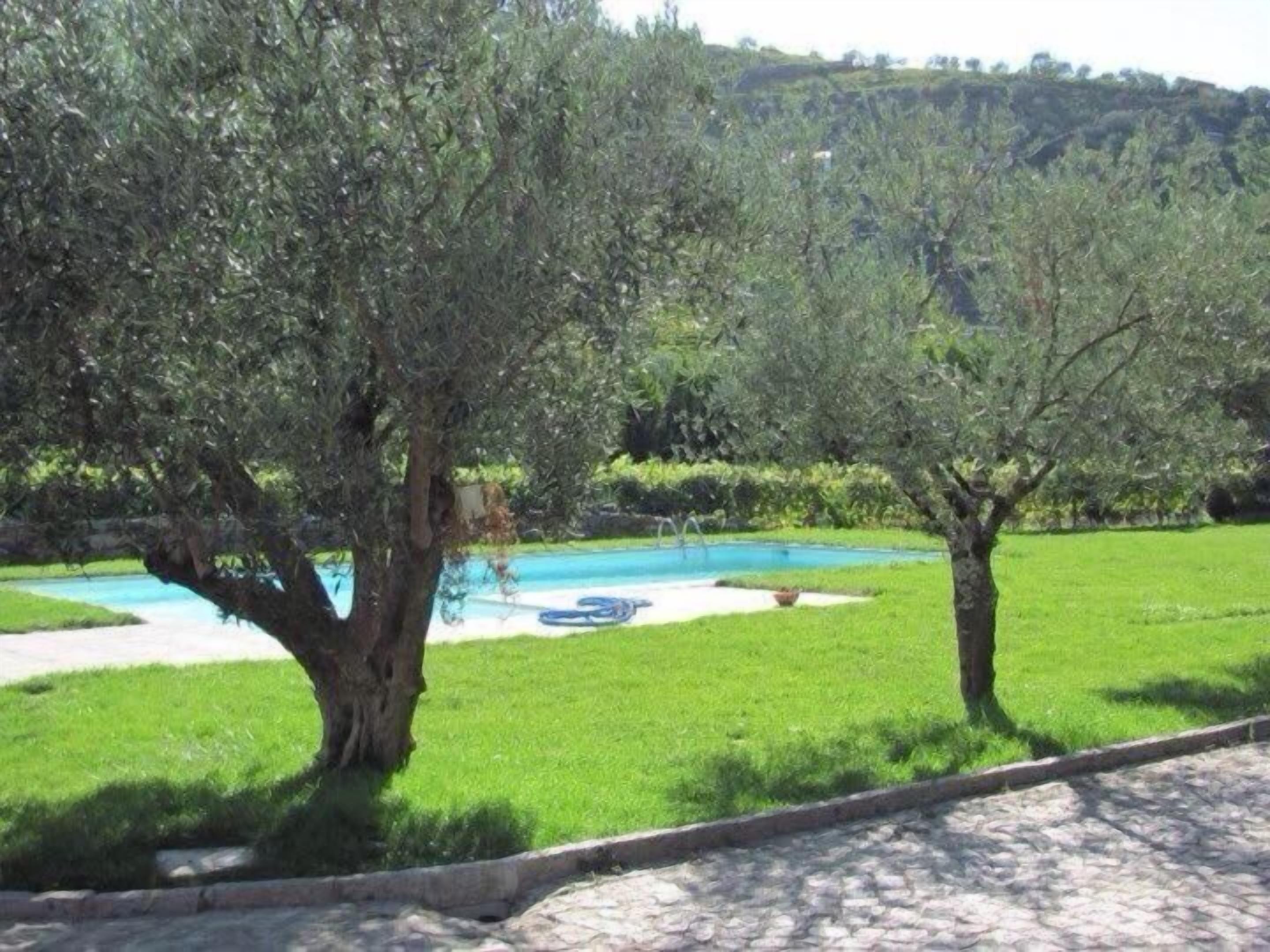 Uma piscina cercada por grama e árvores.