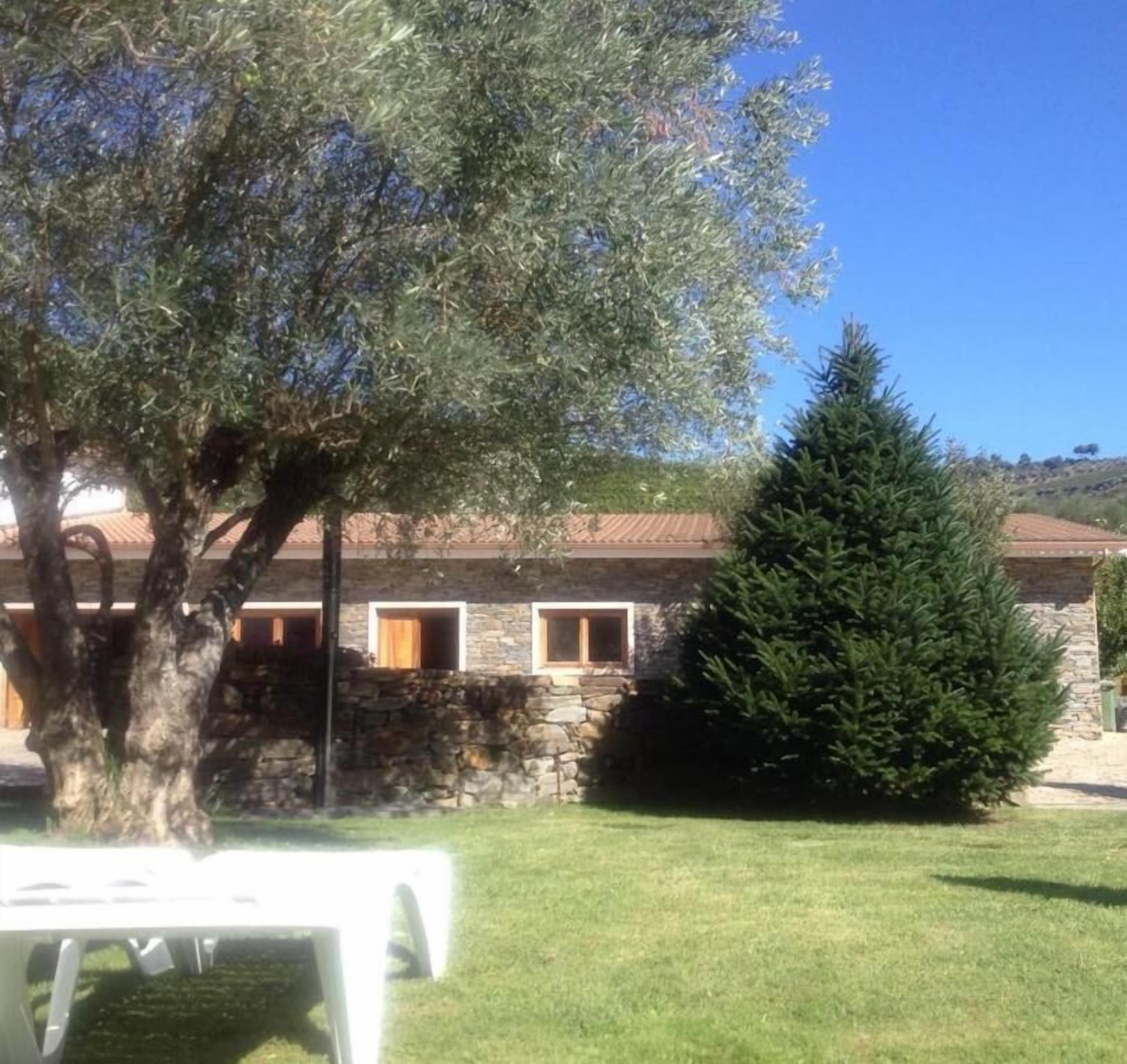 Un bâtiment en pierre avec un arbre et un conifère dans la cour.