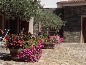 Terassi/patio
