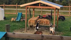 A wooden structure with a roof, hay bales, a tractor, and a slide in a fenced area. - Farm Charm Meets Coastal Calm #36 (Elberta)