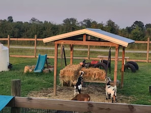 A wooden structure with a roof, hay bales, a tractor, and a slide in a fenced area. - Farm Charm Meets Coastal Calm #36 (Elberta)