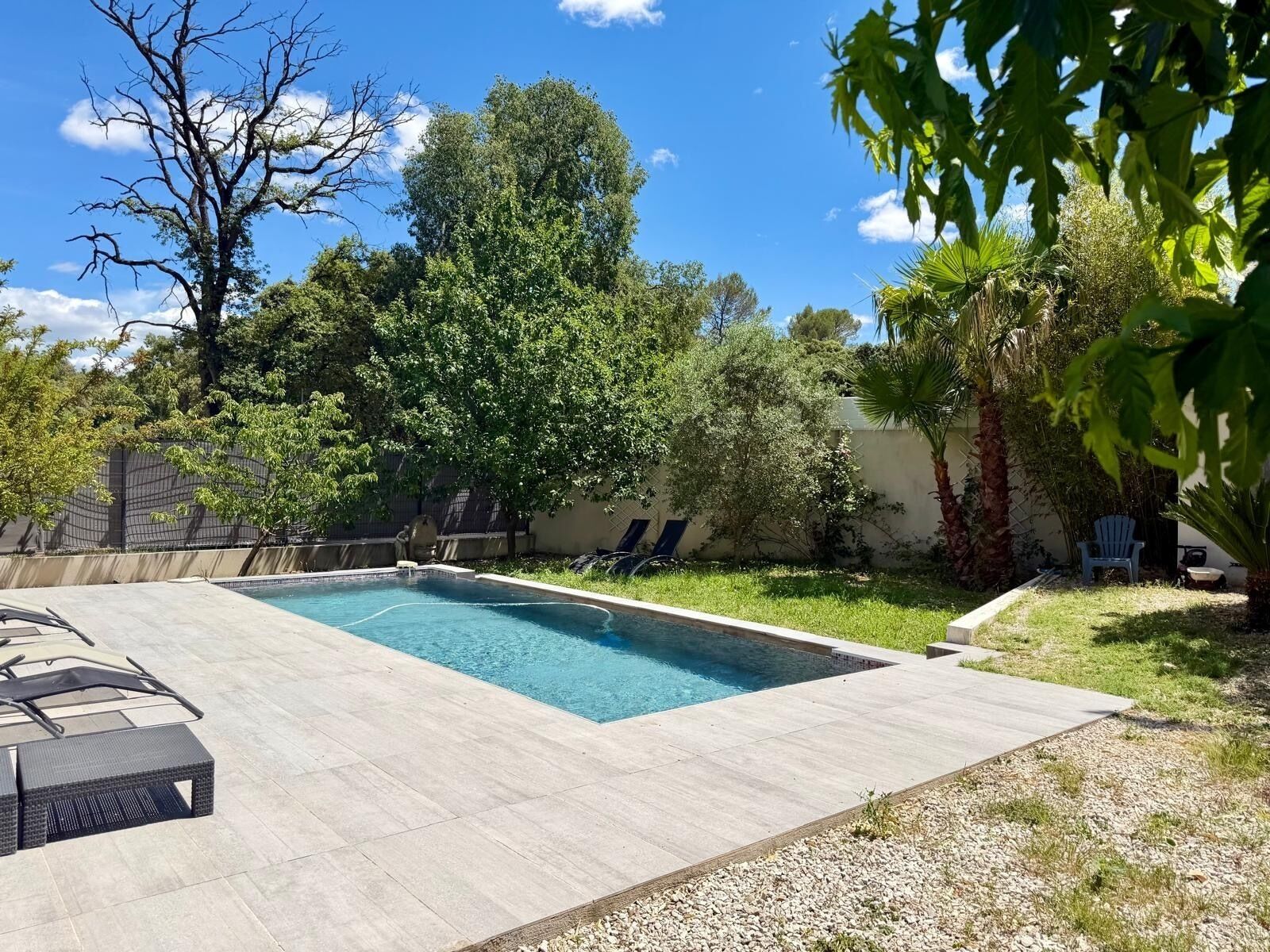 A rectangular swimming pool with a tiled deck, surrounded by trees and a fence.