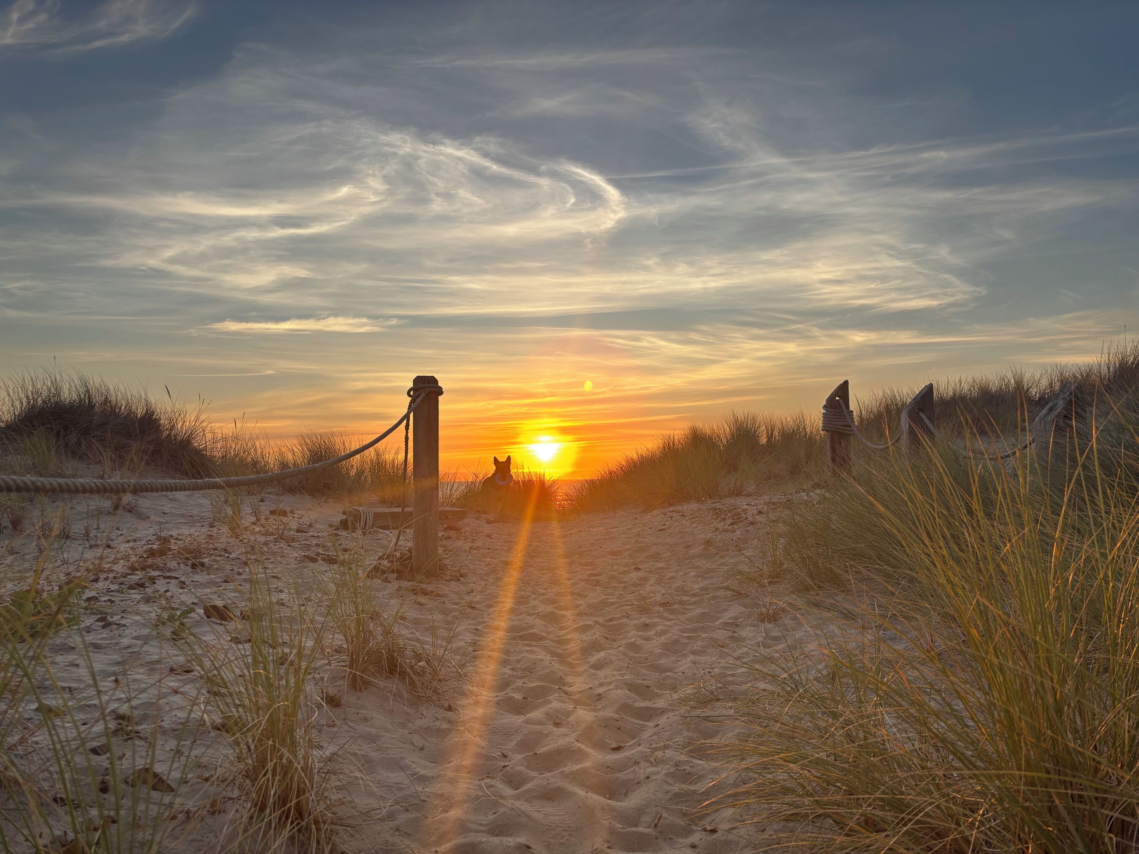 Ein Sonnenuntergang über einem Sandstrand mit Dünen und einem Holzzaun.