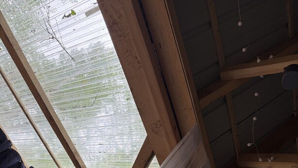 A room with a sloped ceiling, wooden beams, and a window with a view of greenery. - A-frame in Indian Lake+Pet Friendly+Lake Front (Indian Lake)