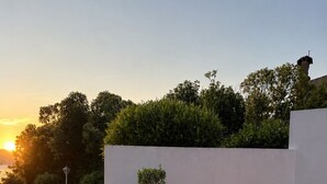 Una terrazza sul tetto con un muro bianco, un piccolo albero, un cactus e una pianta in vaso.