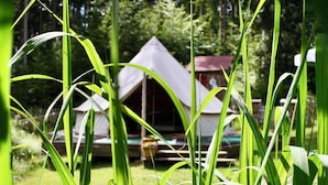 En campingplats med tält, omgiven av högt gräs och träd.