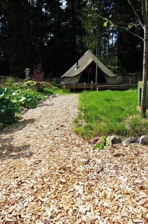 Property grounds - Glamping tent in the Black Forest - nature & tranquillity (Lauterbach)