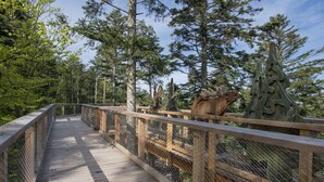 Eine Holzbrücke mit Geländern, umgeben von hohen Bäumen und blauem Himmel.