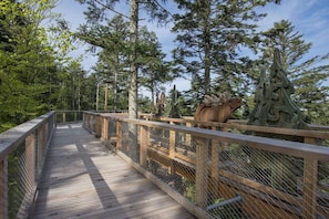 A wooden bridge with railings, surrounded by tall trees and a clear sky.