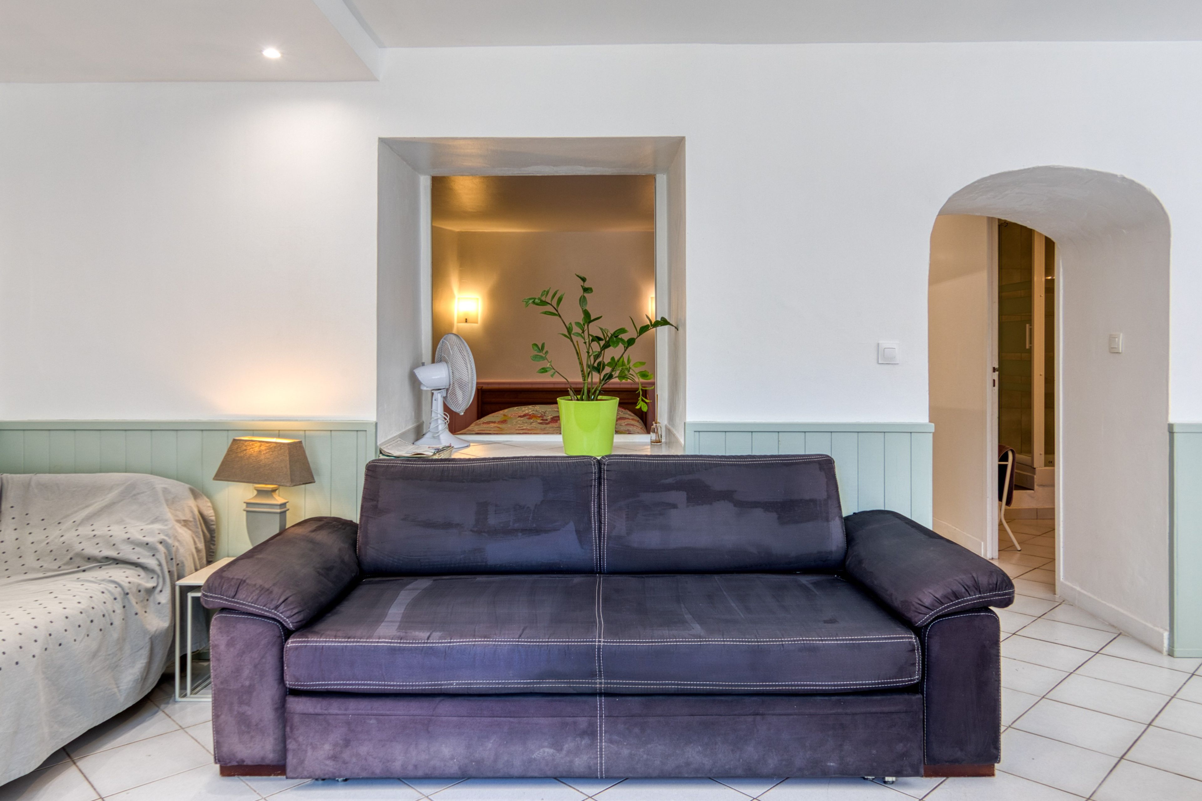 Un salon avec un canapé de couleur foncée, une petite table avec une lampe et une plante verte.