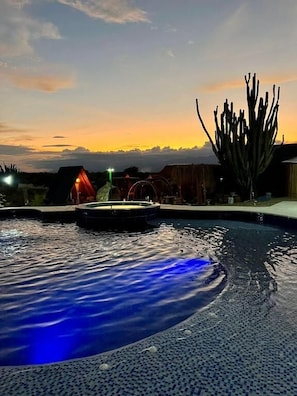 Une piscine agrémentée d’un élément décoratif aquatique, entourée d’une terrasse où se trouve un cactus.